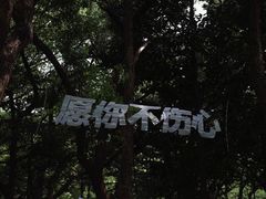 -杭州植物园