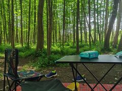 -桤木河湿地公园