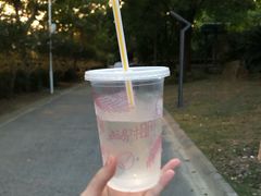 -麦当劳(龙阳路店)