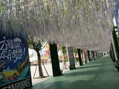 -厦门方特梦幻王国