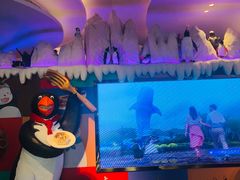 -帝企鹅自助餐厅•儿童岛•真企鹅(长隆企鹅酒店)