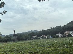 -红山村