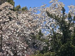 -蒋氏故居