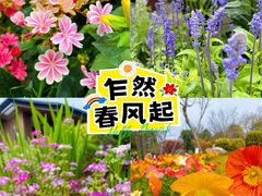 -成都市文化公园
