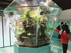 -上海大自然野生昆虫馆(东方明珠·爬宠昆虫探索中心)