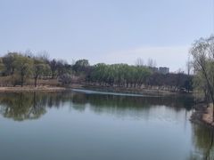 -大兴滨河森林公园