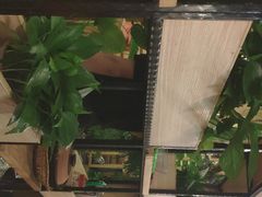 -四季合味椰子鸡(南山大冲店)