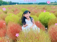 -映月湖中央公园