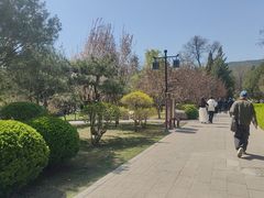 -晋祠公园