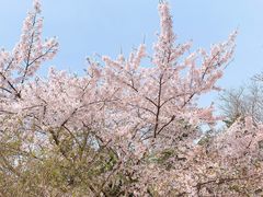 -青岛动物园