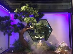 -绿茶餐厅(成都大悦城店)