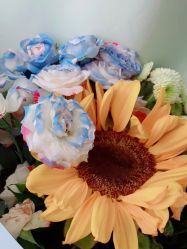 -Oasis Beauty水磨坊科技美肤中心