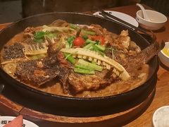 -老板恋上鱼(高新万达店)