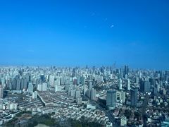 -上海龙之梦万丽酒店