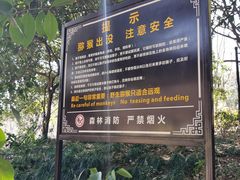 -苏州上方山国家森林公园