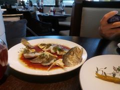 -甄御•海鲜新青岛菜(麦岛店)