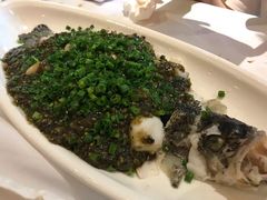 烧椒鲈鱼-尘香•传统川菜(创汇首座店)