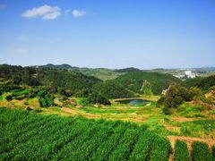 -乌石村