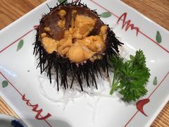 海胆-翔峰炭火鳗鱼(悦泰街里公寓店)