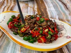 -椿记烧鹅(叠彩店)