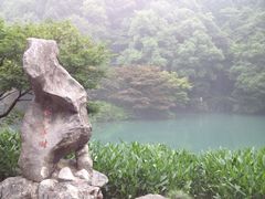 iphone_upload_pic-九溪烟树