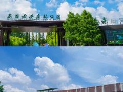 -黄海国家森林公园