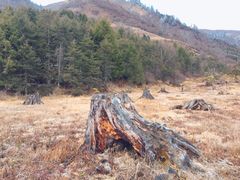 -硗碛藏寨·神木垒景区