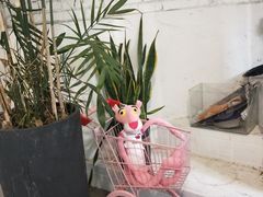 -有猫主题·治愈系猫咖(曾厝垵店)