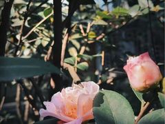 -大妙火锅·非物质文化遗产(东湖公园店)