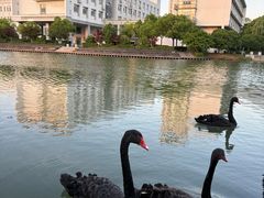-苏州工学院(东湖校区)