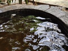 -龙达温泉生态城