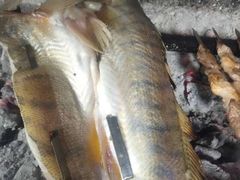 -新疆风味冷水鱼庄(友谊峰路店)