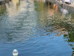 -DGE季风钓虾营地·团建·聚会