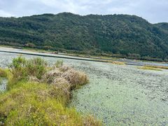 -腾冲北海湿地