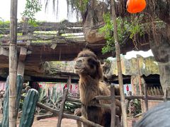 -长鹿旅游休博园