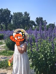 -水晶BABY儿童摄影(世界公园店)