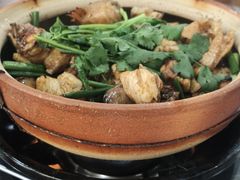 -华仔土鸡店(南洲分店)