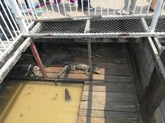 -洞里萨湖