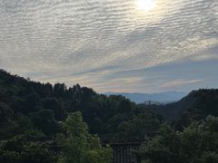 -杨家堂村