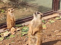 -大连森林动物园