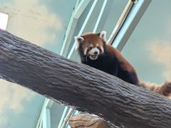 -石家庄市动物园