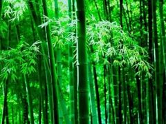 -星光摄影器材城