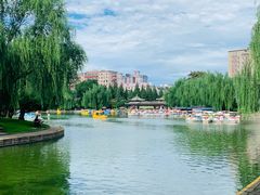 -团结湖公园