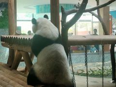 -西安秦岭野生动物园