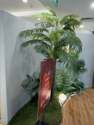 -八佰伴8008星级形象店