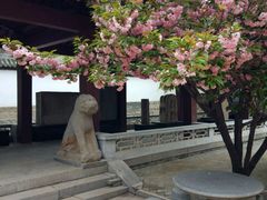 -蔡文姬纪念馆