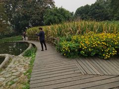 -成都市活水公园