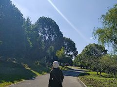 -梁鸿国家湿地公园