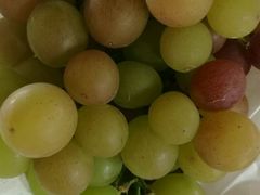 -马陆小张葡萄园农家乐