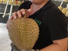 -都念榴莲·城市榴莲